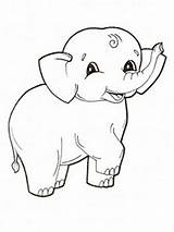 Elephant Coloring Baby Pages Print sketch template