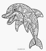 Delfin Delfino Ausmalbild Cool2bkids Seesterne Muscheln sketch template