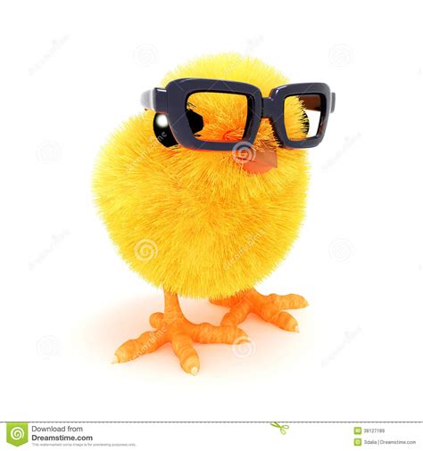 3d Chick In Reading Glasses Stock Illustration Illustration Of