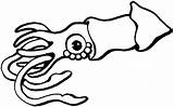 Squid Coloring Giant Pages Getcolorings sketch template