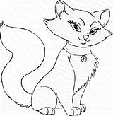 Cat Coloring Pages Printable Kitty Kids Detail Cats Colour Color Transparent Pngkey Print Getcolorings Pa Getdrawings Nicepng sketch template