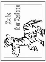 Zebra Coloring Zz Pages Color Zebras Activity Animals Library Clipart Popular sketch template