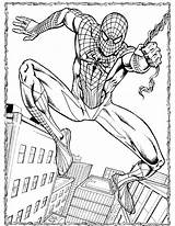 Spiderman Coloring Amazing Printable Pages Spider Man Color Print Pdf Getcolorings Spiderma Coloringbay Inspiration sketch template