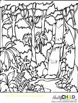 Forest Rainforest Enchanted Getcolorings sketch template