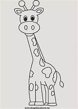 Giraffe Animales Jirafas sketch template
