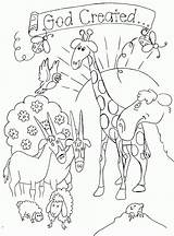 Coloring Pages Sunday School Christmas Creation Children Bible Story Kids Library Clipart sketch template