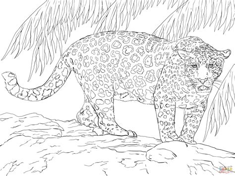 great jaguar coloring page  printable coloring pages