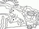 Coloring Dolphin Pages Underwater Kids Printable Turtle Sea Animals Dolphins Two Popular sketch template