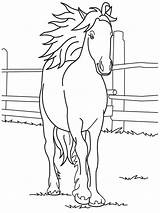 Horse Coloring Pages Printable Kids Horses Baby Color Print Friesian Sheets Girls Quarter Drawing Barbie Colorear Para Cute Caballos Book sketch template
