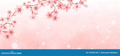 banner  branches  cherry blossoms stock vector illustration  card beautiful