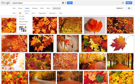 search  images  color html color codes