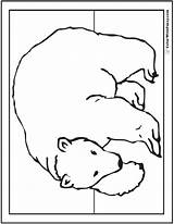 Bear Polar Coloring Pages Drawing Cute Bears Arctic Colorwithfuzzy Realistic Outline Baby Color Animals Printable Giants Babies Kids Teddy sketch template