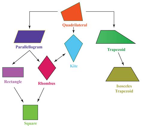 quadrilaterals types properties   quadrilaterals definitions formulas