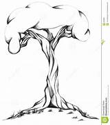 Twisted Tree Coloring Designlooter Illustration sketch template