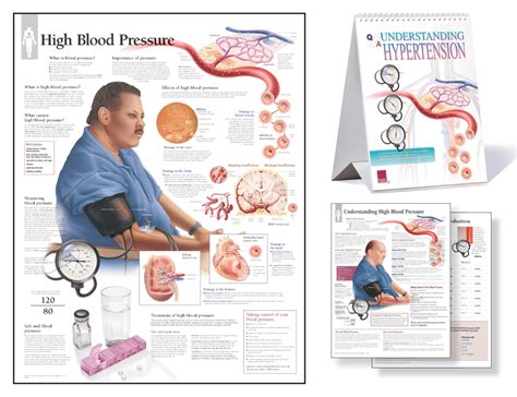 understanding hypertension study set scientific publishing