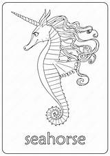 Seahorse Coloringoo sketch template