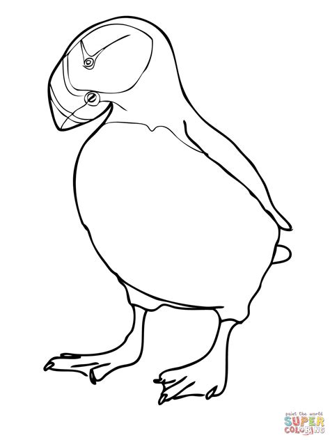 puffin coloring pages coloring home