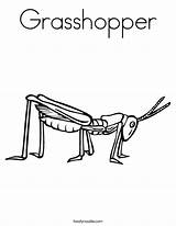 Coloring Grasshopper Pages Cricket Worksheet Beetle Template Insects Noodle Twisty Twistynoodle Getdrawings Library Getcolorings Books Change sketch template
