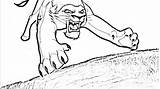 Coloring Kovu Pages Lion King Kiara Library Clipart Cartoons Popular sketch template
