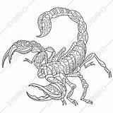 Skorpion Malvorlage sketch template