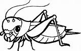Grasshopper Coloring Insect sketch template