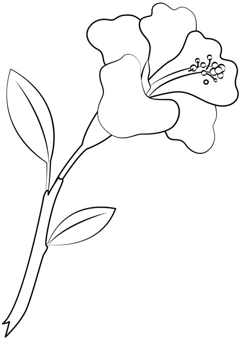 printable hibiscus template