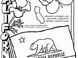 Coloring Pages California State Arizona Getcolorings Flag Color Republic sketch template