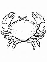 Coloring Crab Pages Printable Kids sketch template