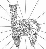 Llama Coloring Pages Printable Unicorn Wonder Llamas sketch template