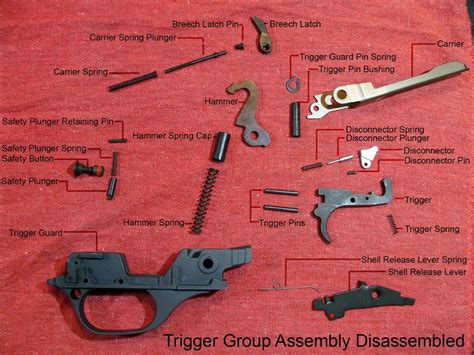 benelli  complete trigger group assembly guide benelli benelli usa forums