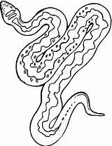 Snake Colorir sketch template