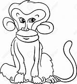 Primate Coloring Designlooter Monkey Animal Illustration Vector Cartoon Cute Book Stock 1191 77kb 1300px sketch template