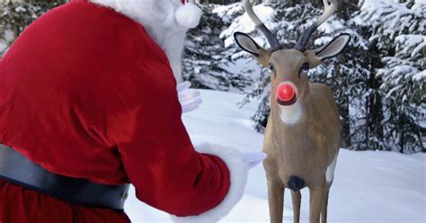 Woman Reveals Incredible Revelation About Santa S Reindeer