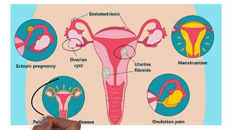 periods health youtube