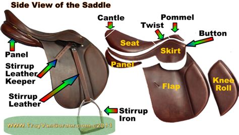 illustrated parts   english saddle english saddle saddle stirrup leathers