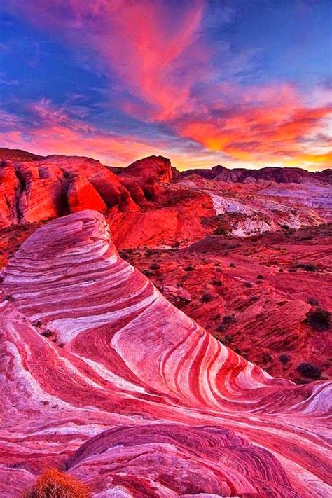 sonoran desert arizona united states incredible pics