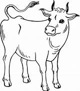Bouncer Vache Coloriages Drawing sketch template