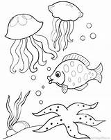 Mewarnai Gambar Anak Buku Undersea Hewan Diwarnai Marins Marin Colorare sketch template