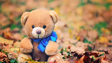brown teddy bear  blue ribbon  blur background hd teddy bear