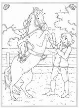 Reiterhof Manege Reitschule Paarden Kleurplaten Kleurplaat Paard Animaatjes Besten Playmobil sketch template