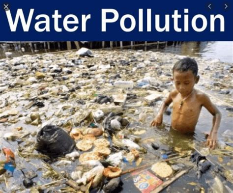 water pollution  effects  control  complete solutions