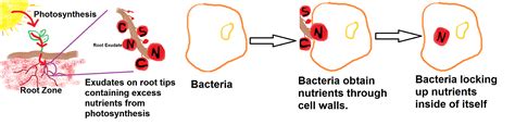 microbes  spray hawaii