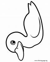 Coloring Duckling Duck Beautiful Colouring Pages Printable Clipart sketch template