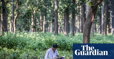 nepal s women of the terai arc become forest conservationists in