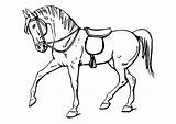 Cavallo Caballo sketch template
