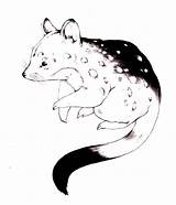 Coloring Quolls Pages Color Animals Animal Print Back sketch template