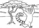 Lemur Coloring Cartoon Pages Dancing Nine Real Kids sketch template