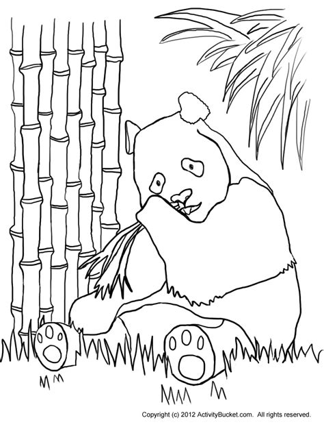 coloring pages panda  bamboo clip art library