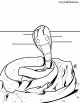 Coloring Cobra Pages King Snake sketch template