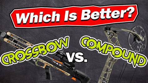 crossbow  compound bow    youtube